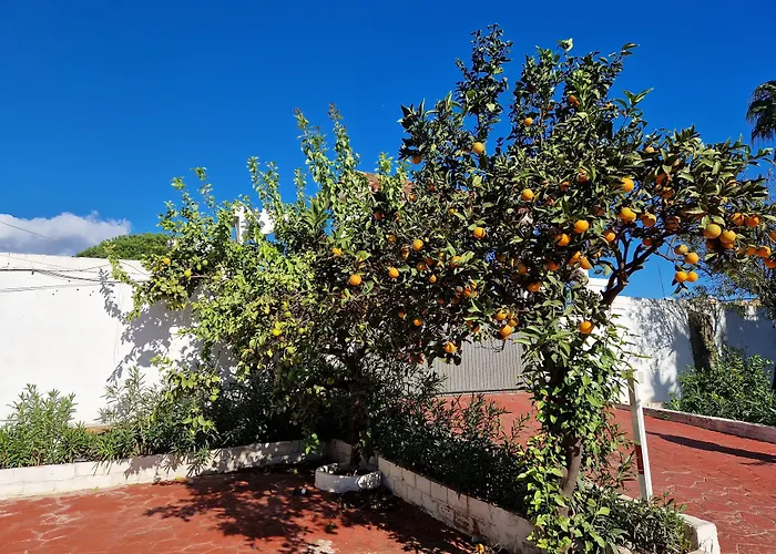 Villa Costa Marbella